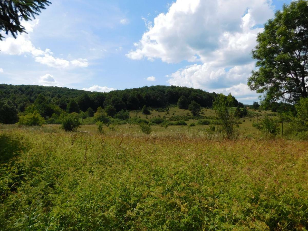 Plitvička Jezera Vacation House Home, Plitvice Lakes National Park מראה חיצוני תמונה