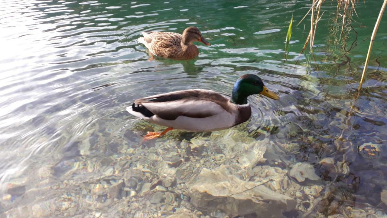 Plitvička Jezera Vacation House Home, Plitvice Lakes National Park מראה חיצוני תמונה