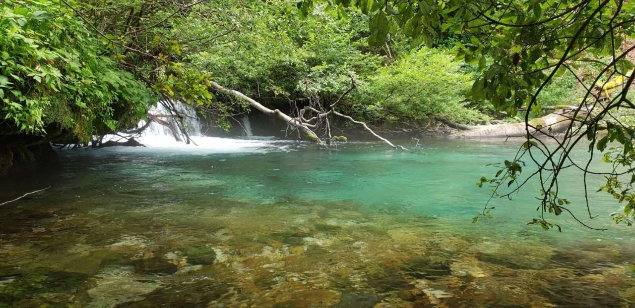 Plitvička Jezera Vacation House Home, Plitvice Lakes National Park מראה חיצוני תמונה